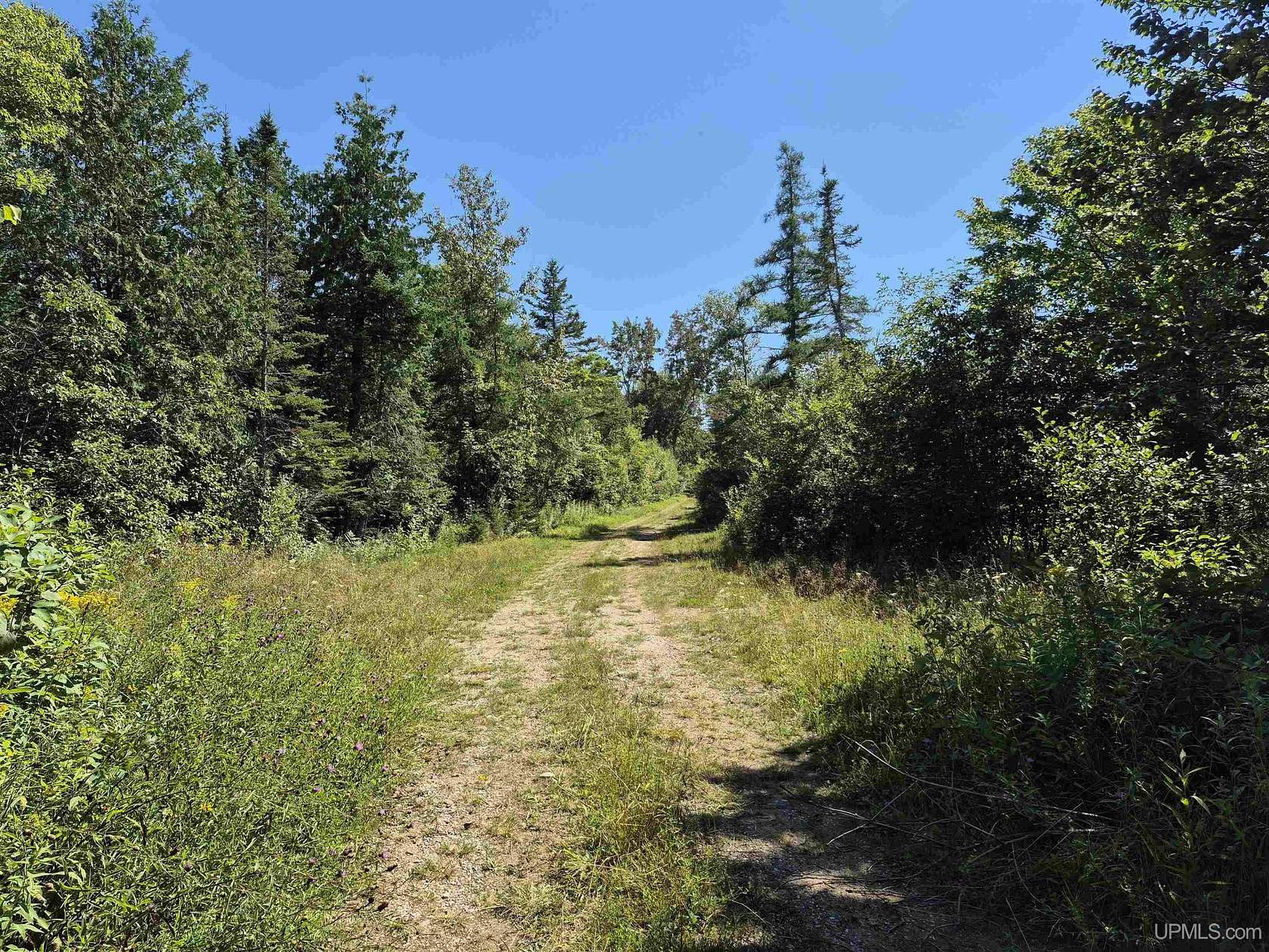 160 Acres of Land for Sale in Gulliver, Michigan