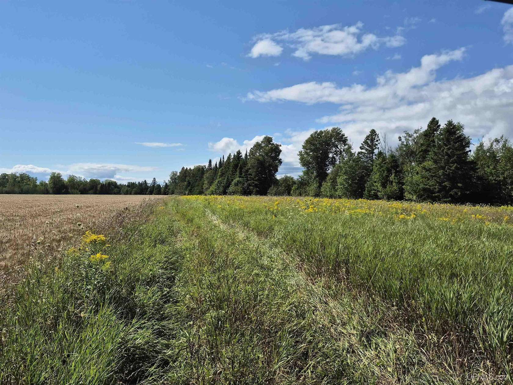 160 Acres of Land for Sale in Gulliver, Michigan