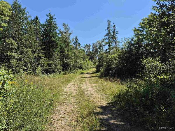 160 Acres of Recreational Land & Farm for Sale in Gulliver, Michigan