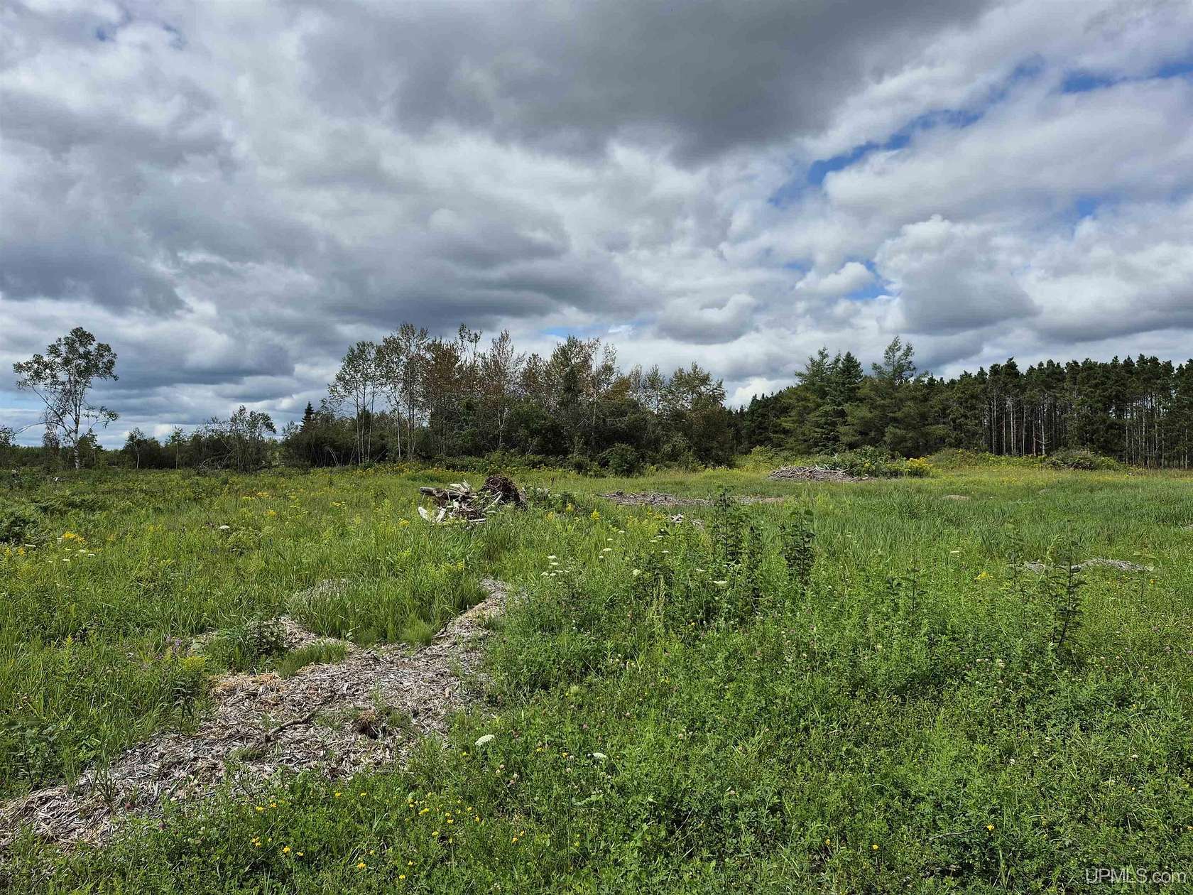 40 Acres of Recreational Land for Sale in Gulliver, Michigan