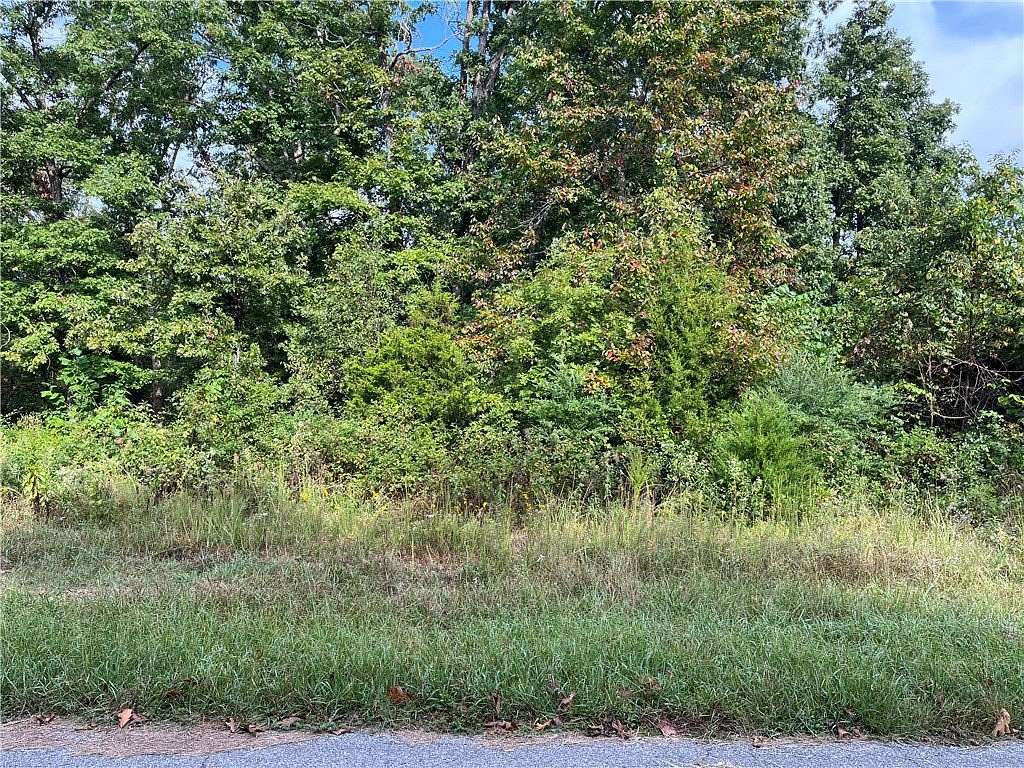 0.32 Acres of Residential Land for Sale in Bella Vista, Arkansas