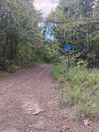 20 Acres of Land for Sale in Mena, Arkansas