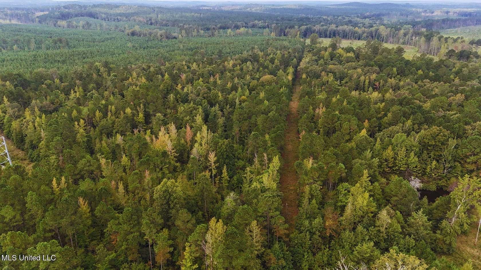 21 Acres of Recreational Land for Sale in McCool, Mississippi