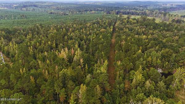 21 Acres of Recreational Land for Sale in McCool, Mississippi