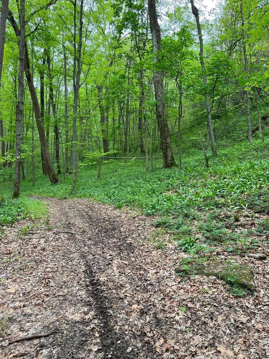 42.8 Acres of Recreational & Residential Land for Sale in Nelsonville, Ohio