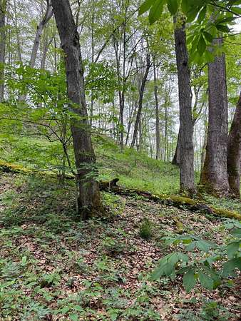 42.8 Acres of Recreational & Residential Land for Sale in Nelsonville, Ohio