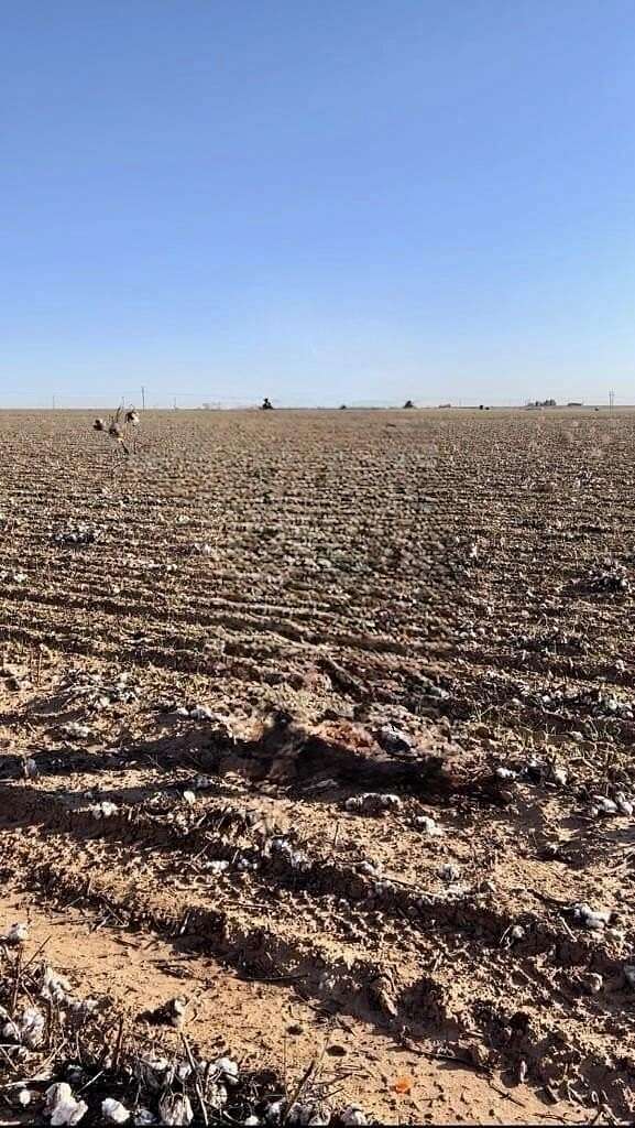 Residential Land for Sale in Ropesville, Texas