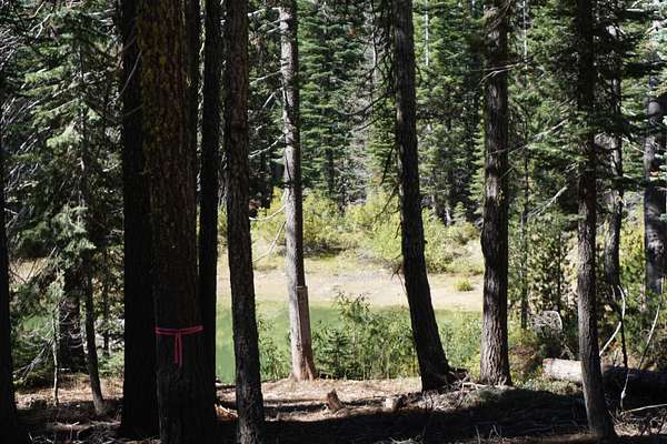0.44 Acres of Residential Land for Sale in Bucks Lake, California