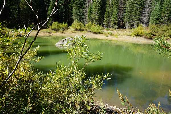 0.69 Acres of Residential Land for Sale in Bucks Lake, California