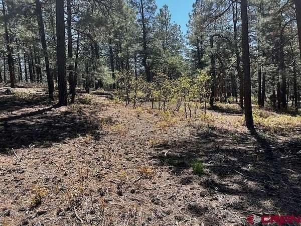 3.1 Acres of Residential Land for Sale in Bayfield, Colorado