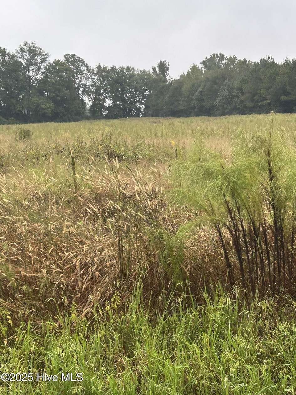 12 Acres of Land for Sale in Willard, North Carolina