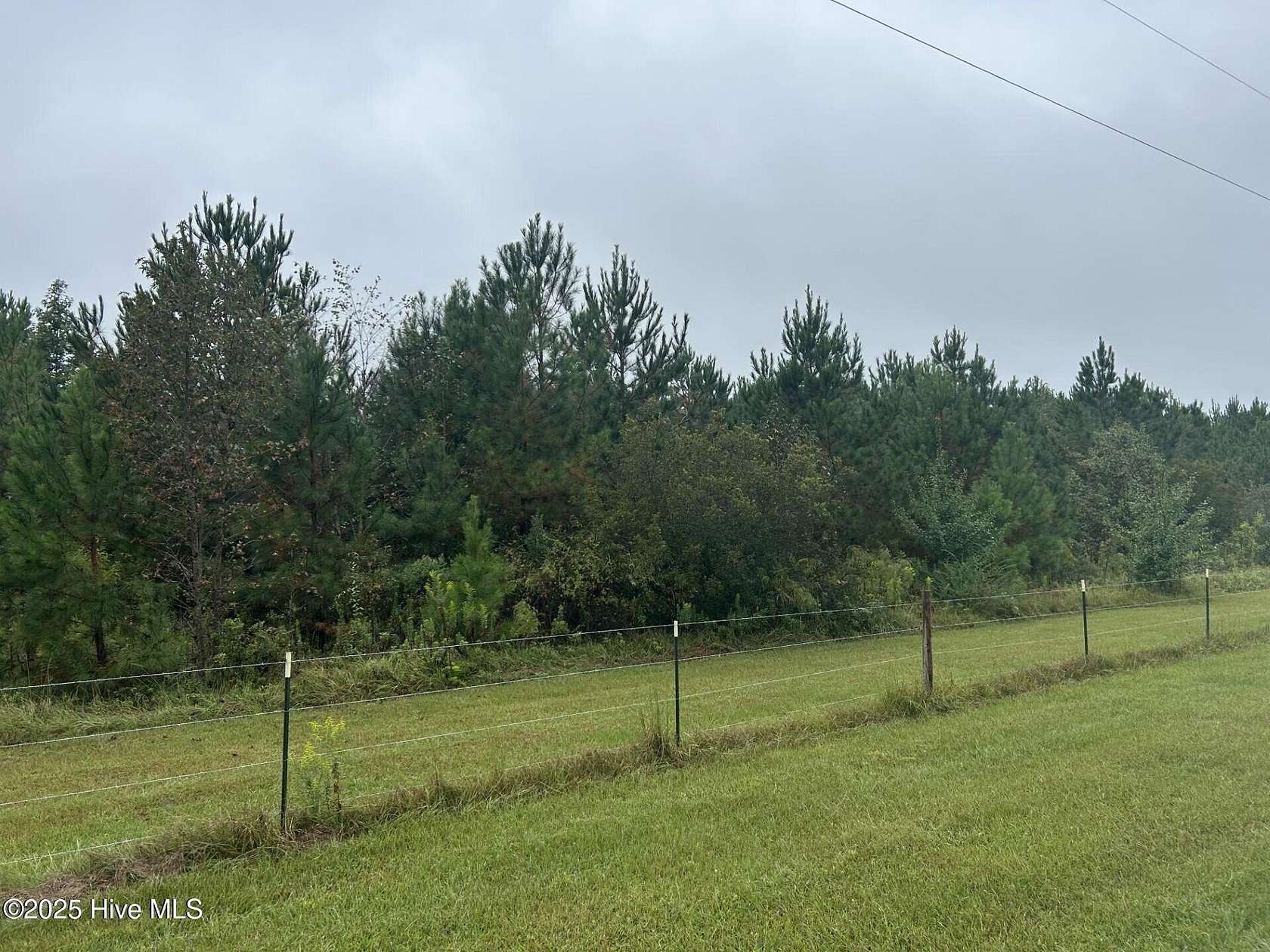 10.6 Acres of Land for Sale in Willard, North Carolina