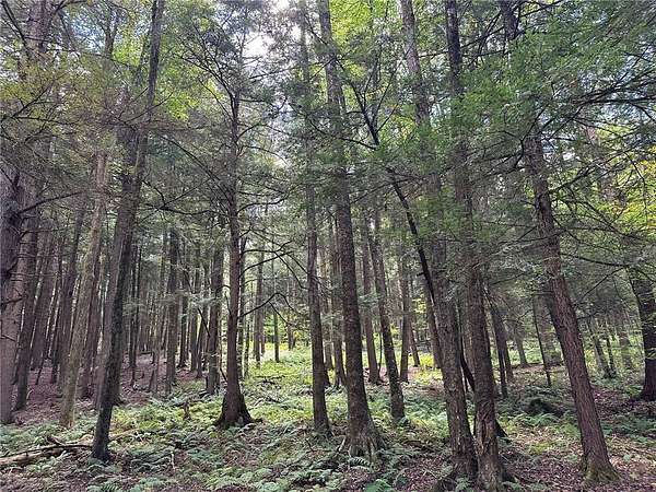 53.6 Acres of Land for Sale in Windsor, New York