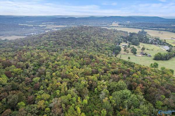 18 Acres of Land for Sale in Woodville, Alabama