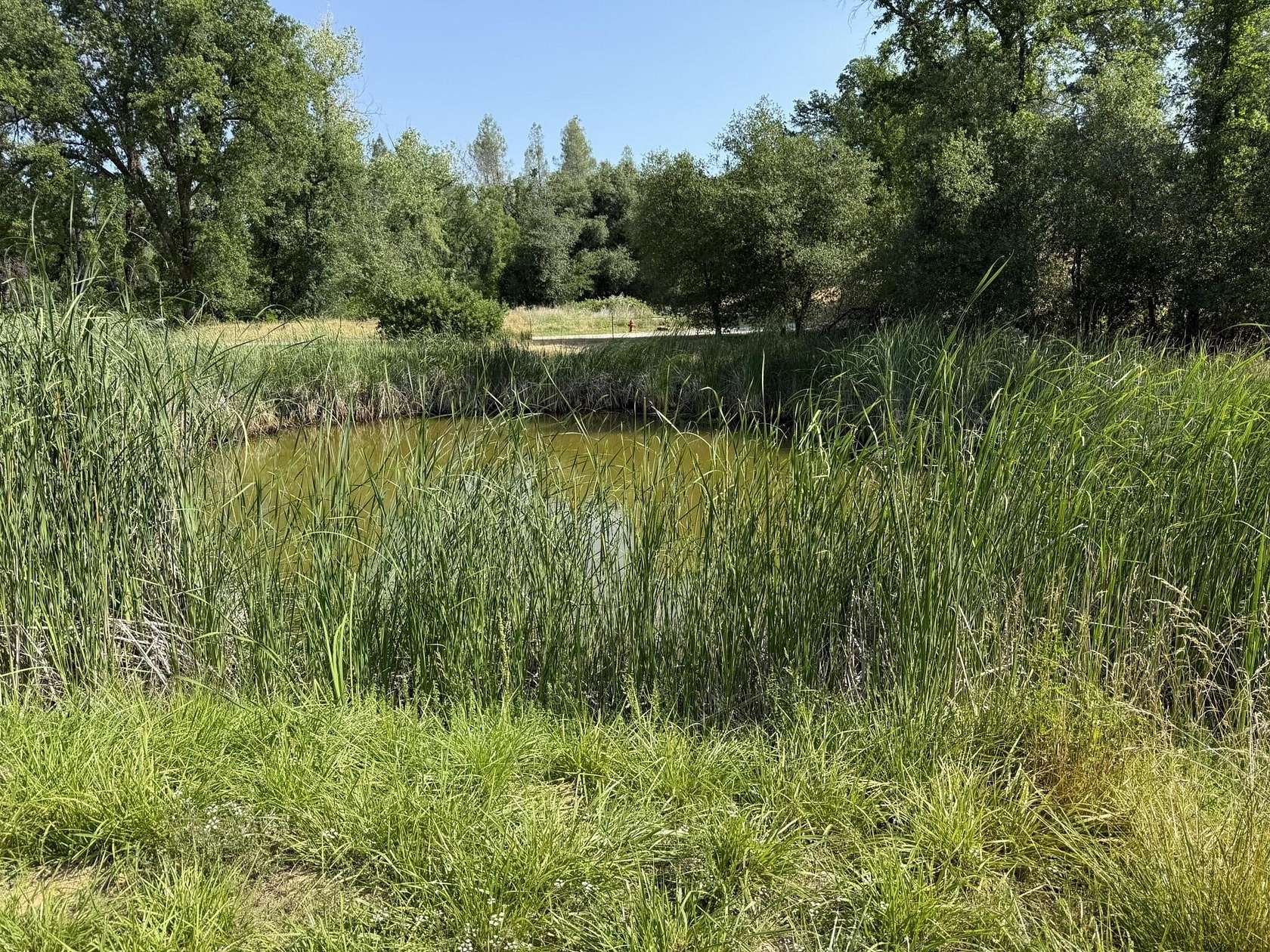 1.6 Acres of Residential Land for Sale in Redding, California