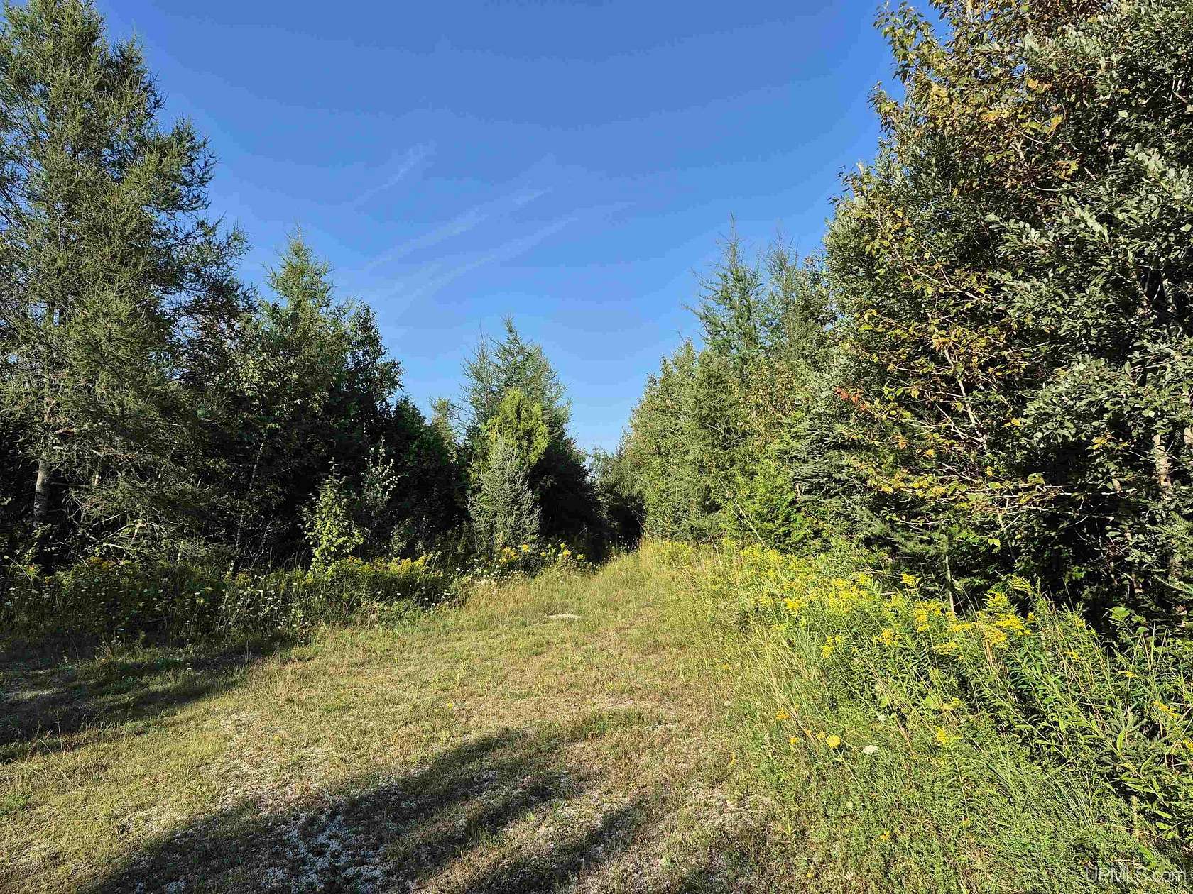 412 Acres of Land for Sale in Gulliver, Michigan
