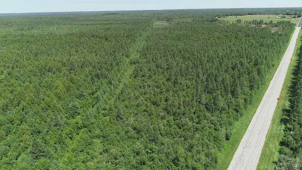 252 Acres of Recreational Land for Sale in Gulliver, Michigan