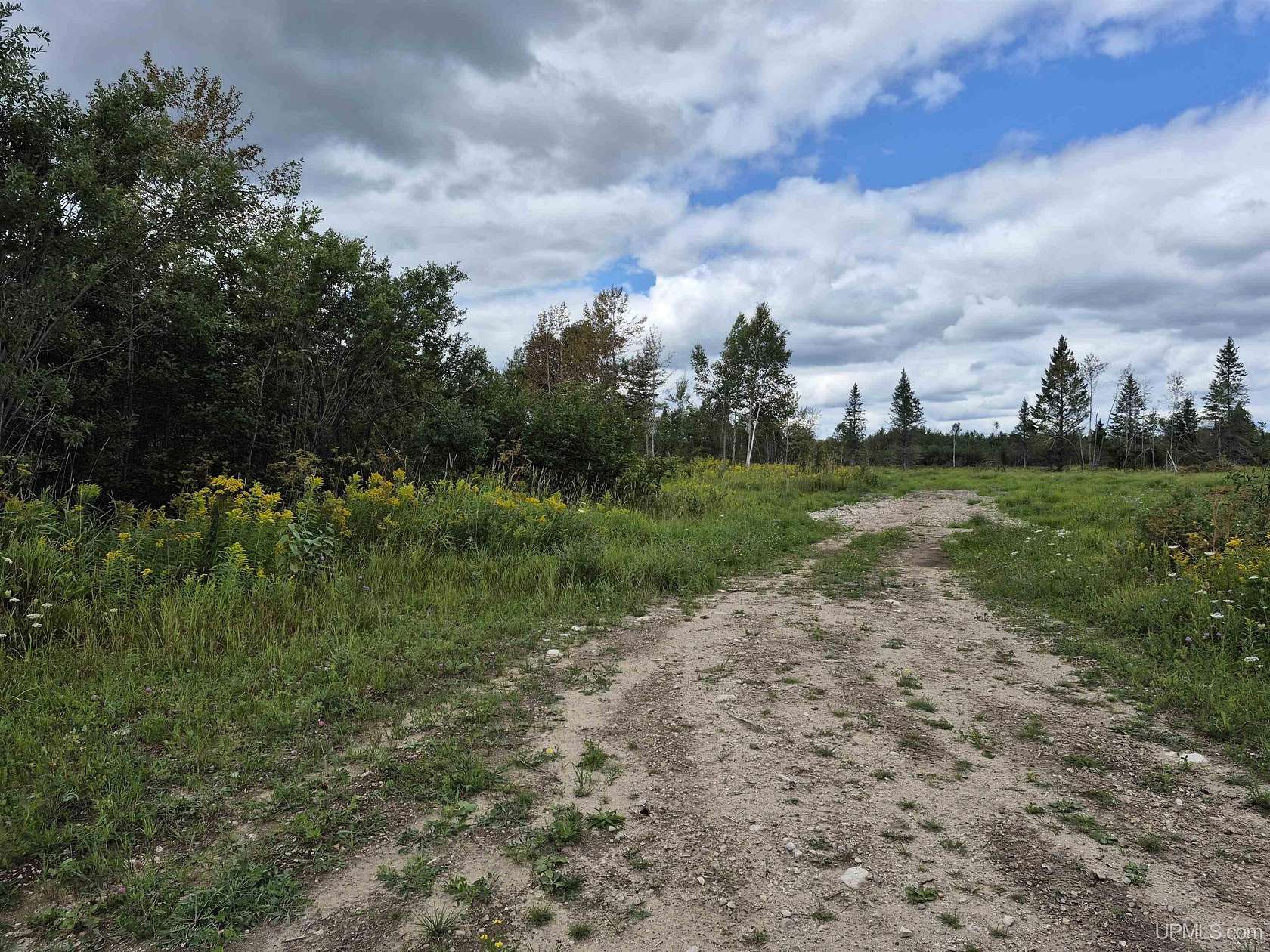 40 Acres of Recreational Land for Sale in Gulliver, Michigan