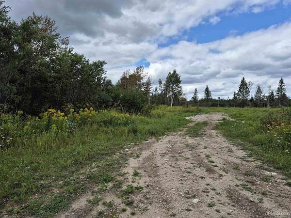 40 Acres of Recreational Land for Sale in Gulliver, Michigan