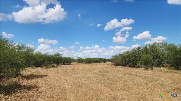 37.6 Acres of Recreational Land for Sale in Victoria, Texas