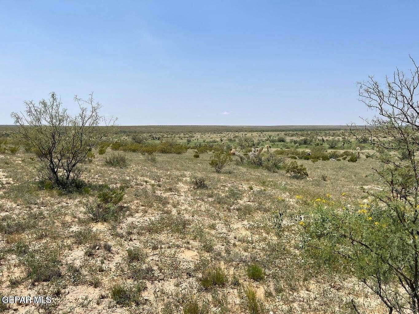 40 Acres of Land for Sale in Sierra Blanca, Texas