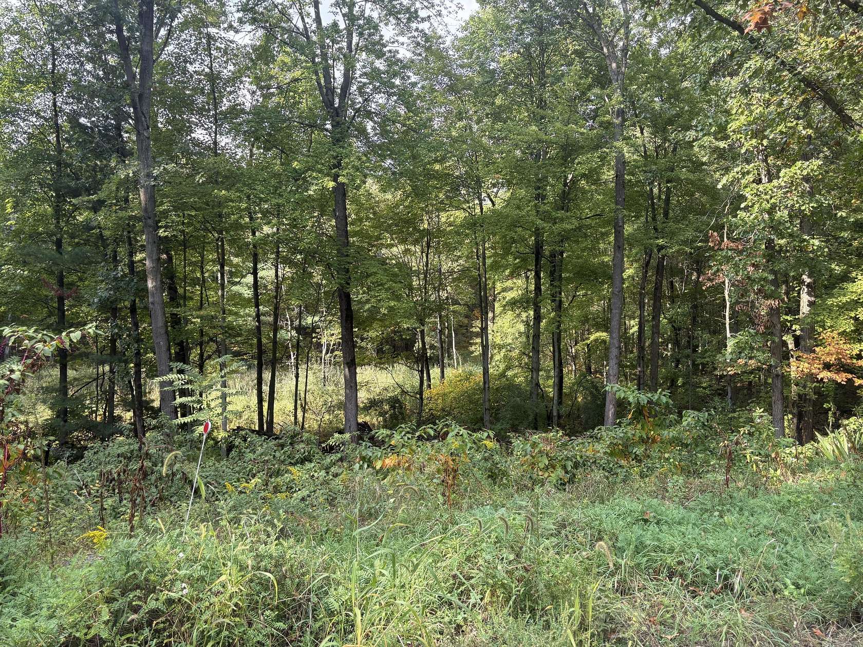 2.26 Acres of Residential Land for Sale in Norton Shores, Michigan