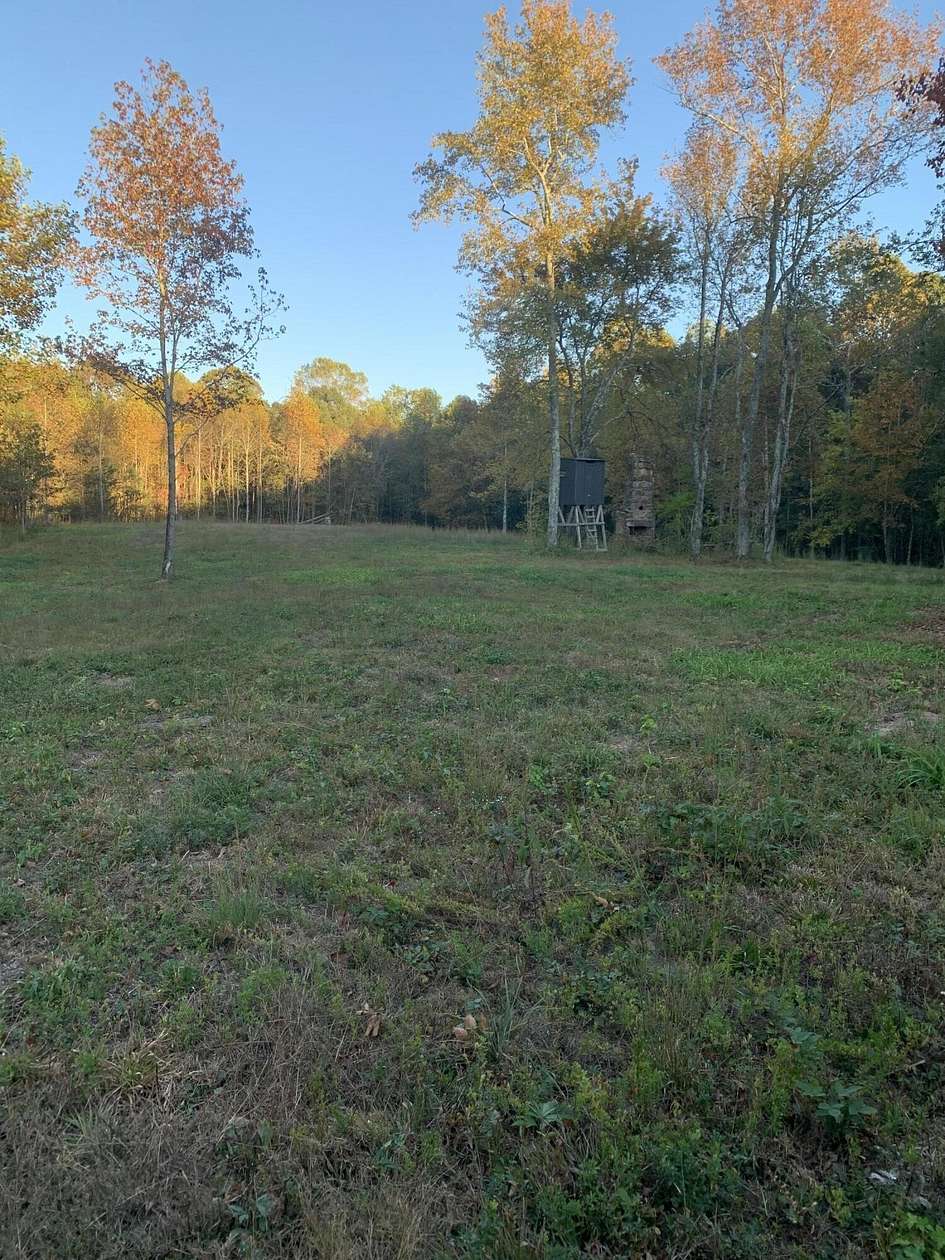 7.72 Acres of Residential Land for Sale in Bryant, Alabama