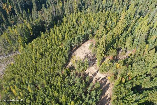 5 Acres of Land for Sale in Fernwood, Idaho