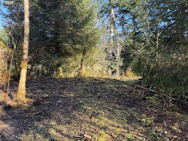 13.9 Acres of Recreational Land for Sale in Lakeside, Oregon