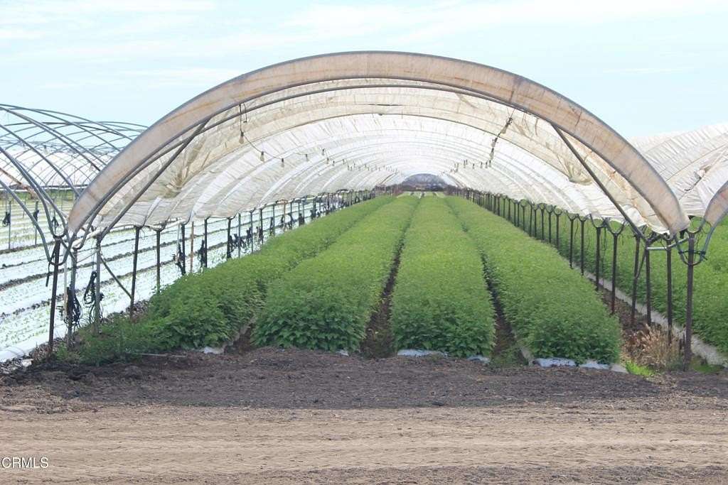 411 Acres of Agricultural Land for Sale in Oxnard, California