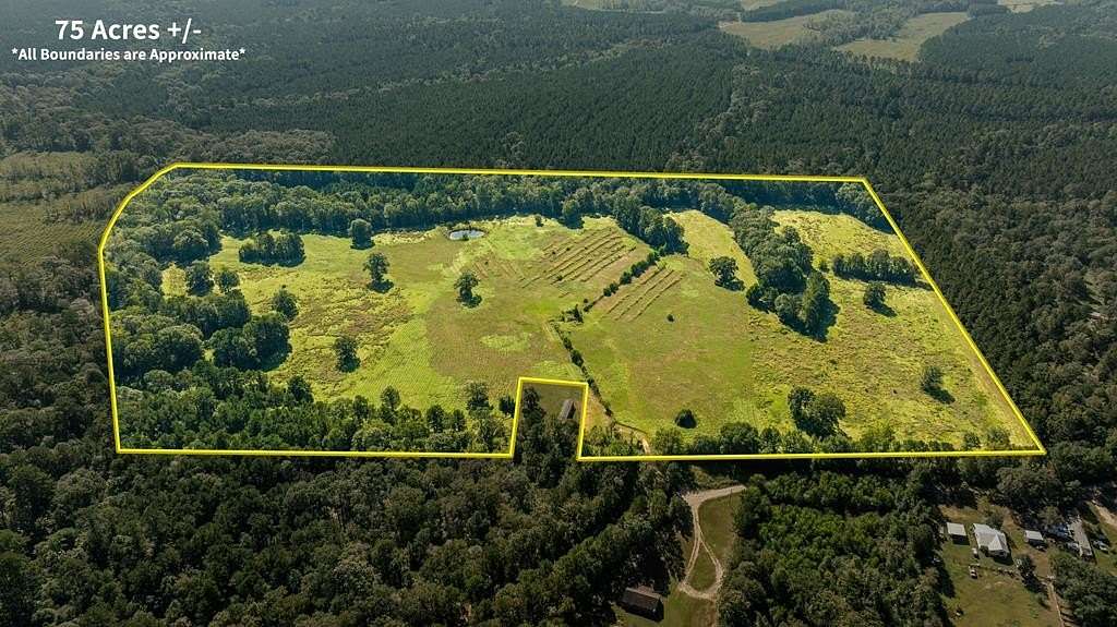 75 Acres of Agricultural Land for Sale in Huntington, Texas