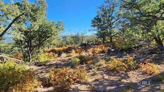 2.2 Acres of Residential Land for Sale in Cotopaxi, Colorado