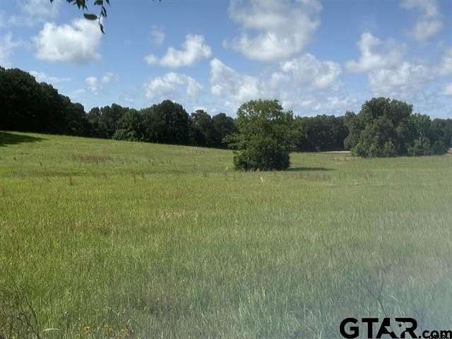 30 Acres of Agricultural Land for Sale in Henderson, Texas