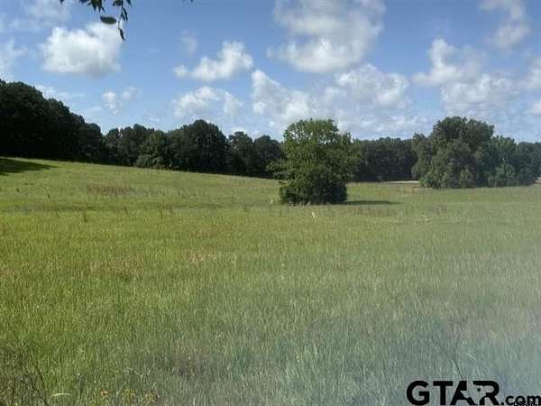 30 Acres of Agricultural Land for Sale in Henderson, Texas