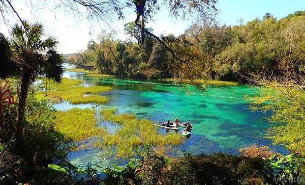 0.25 Acres of Residential Land for Sale in Ocala, Florida