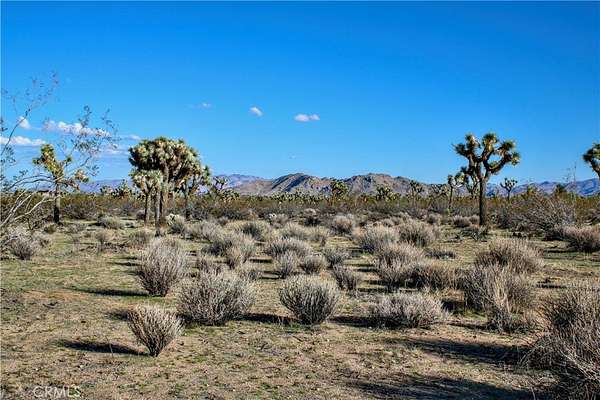 10.5 Acres of Land for Sale in Yucca Valley, California