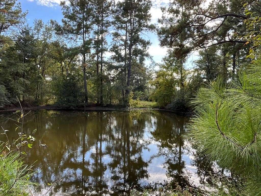 163 Acres of Recreational & Residential Land for Sale in Pennington, Texas