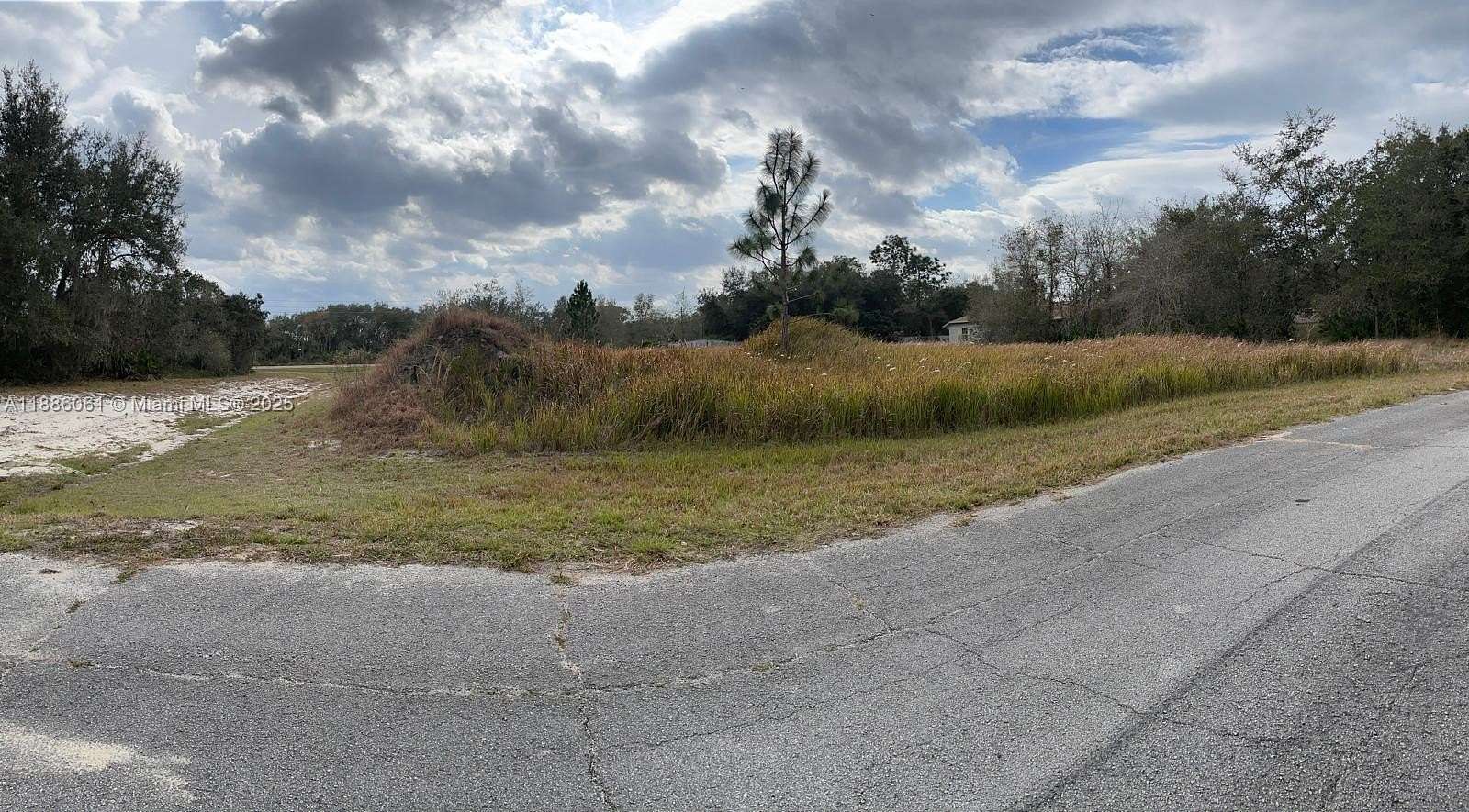 0.41 Acres of Residential Land for Sale in Poinciana, Florida