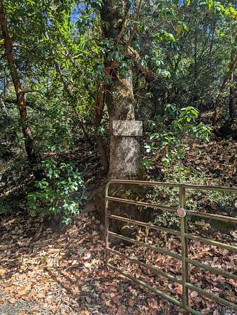 60 Acres of Land for Sale in Laytonville, California
