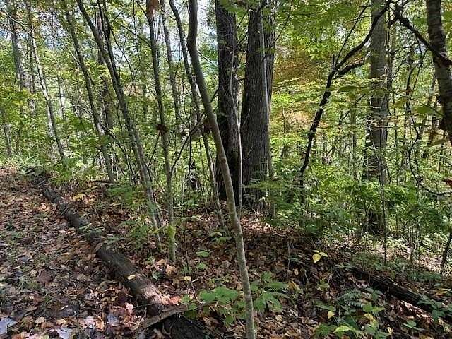6.46 Acres of Residential Land for Sale in Tuckasegee, North Carolina