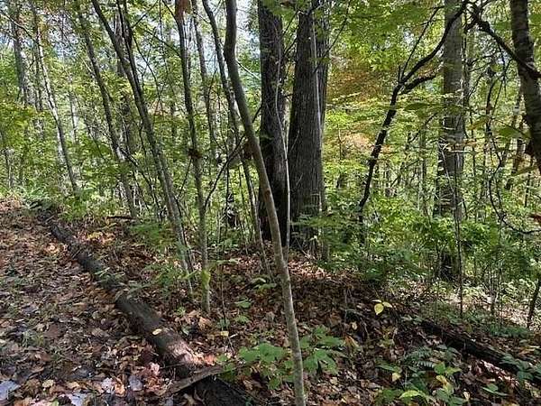 6.46 Acres of Residential Land for Sale in Tuckasegee, North Carolina