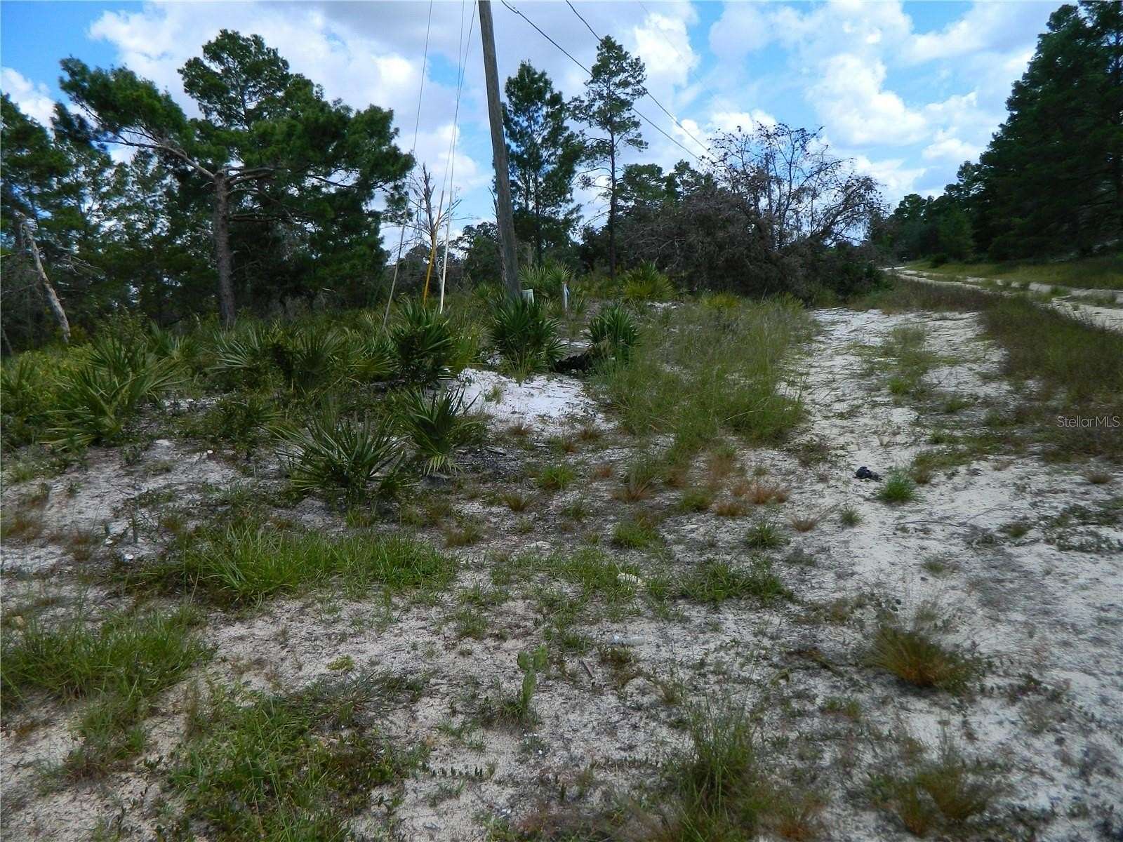 0.18 Acres of Residential Land for Sale in Avon Park, Florida