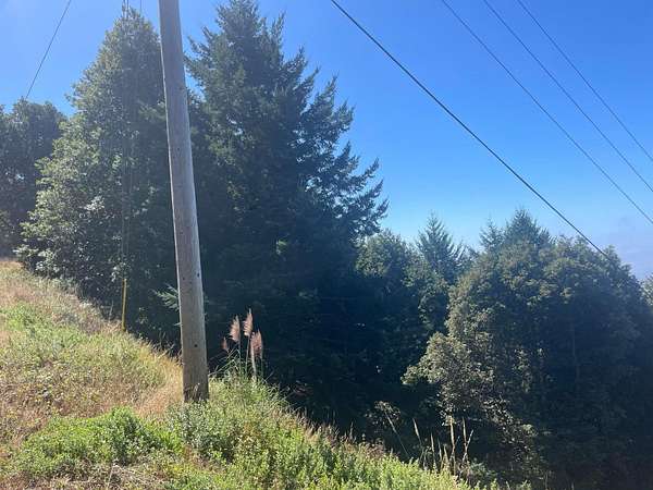 0.28 Acres of Residential Land for Sale in Shelter Cove, California