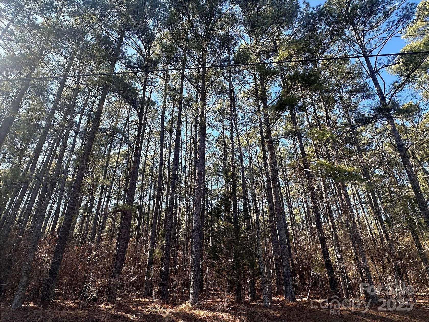 3.1 Acres of Residential Land for Sale in Denton, North Carolina