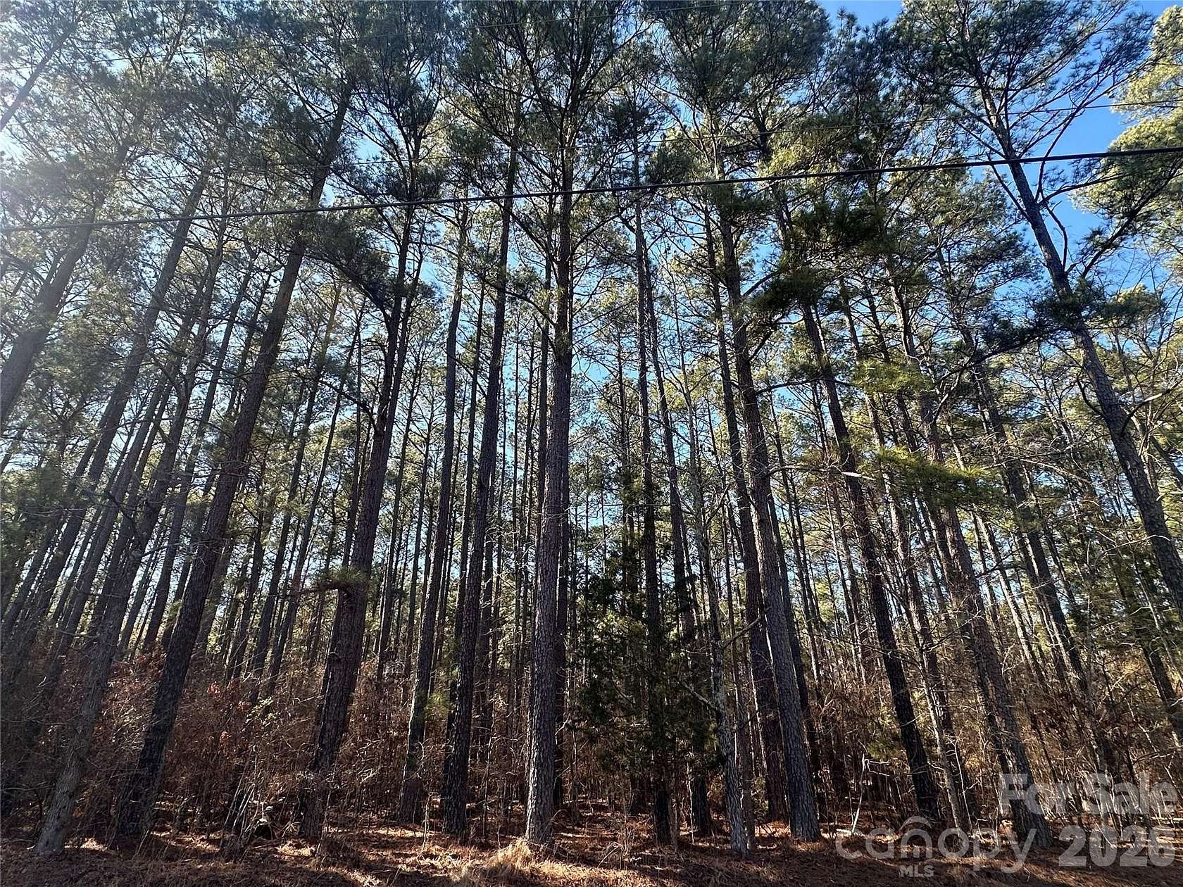 3.1 Acres of Residential Land for Sale in Denton, North Carolina