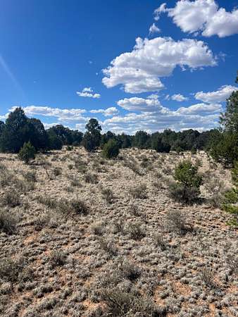 100 Acres of Recreational Land for Sale in Grants, New Mexico