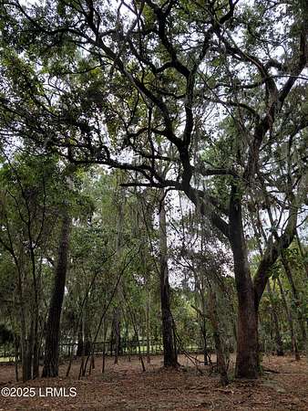 0.54 Acres of Residential Land for Sale in Saint Helena Island, South Carolina