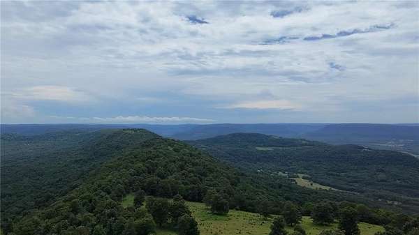 40 Acres of Recreational Land for Sale in Mount Judea, Arkansas