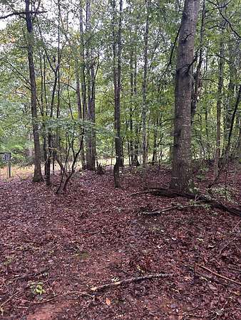 7.75 Acres of Land for Sale in Buckingham, Virginia