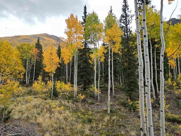 3.49 Acres of Residential Land for Sale in Lake City, Colorado